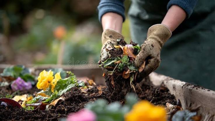 Green and brown materials prepared for home composting