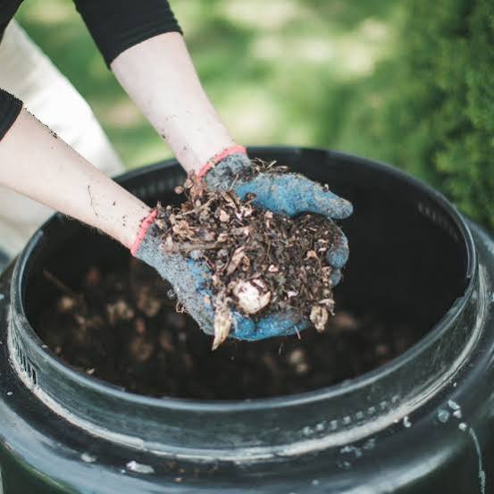 Finished compost ready to improve garden soil